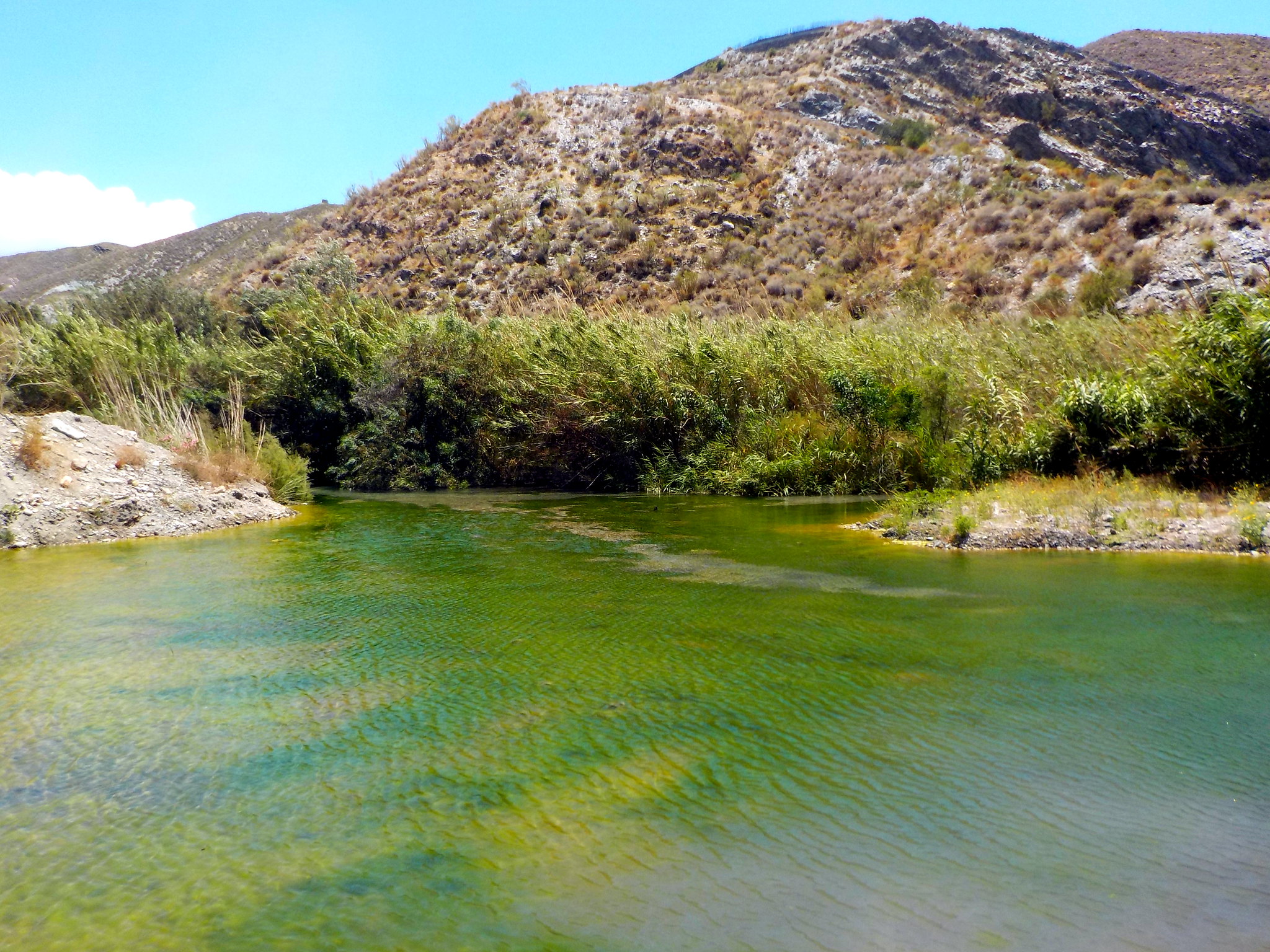 Albufera de Adra